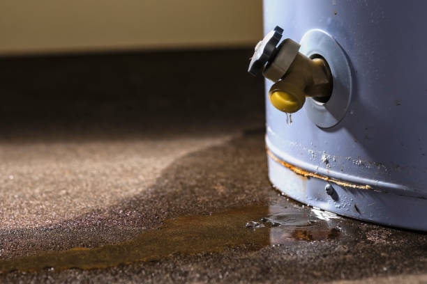 Best Sewage cleanup and water damage restoration  in Fort Lee, VA