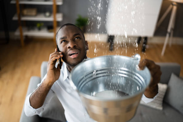 Best Basement water damage restoration  in Fort Lee, VA