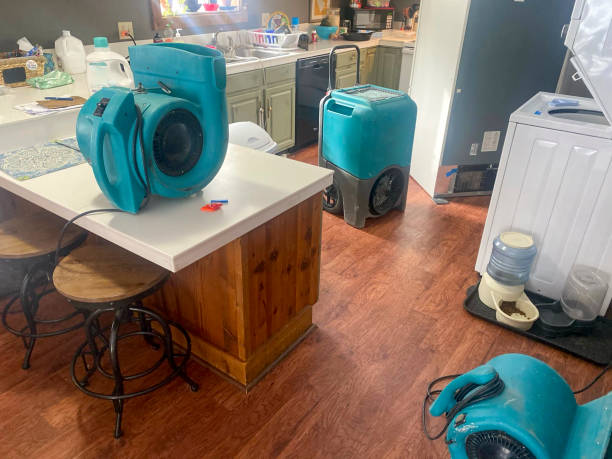 Best Flood damage cleanup  in Fort Lee, VA
