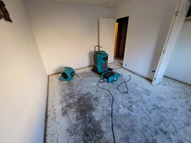 Best 24/7 water damage repair  in Fort Lee, VA
