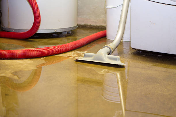  Fort Lee, VA Water damage restoration Pros