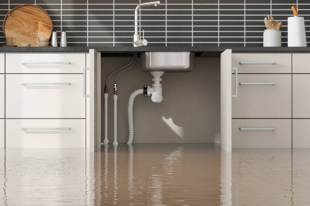Best Water damage repair service  in Fort Lee, VA