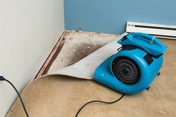 Best Water damage restoration company  in Fort Lee, VA
